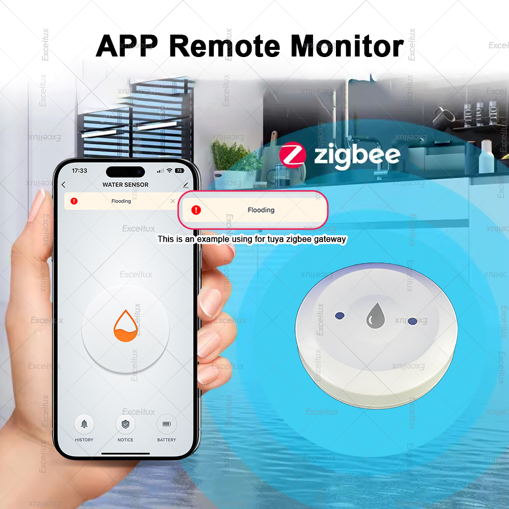 Zigbee Water Detector Leakage  - Home Cinema Alexa incelemesi ve fiyatı