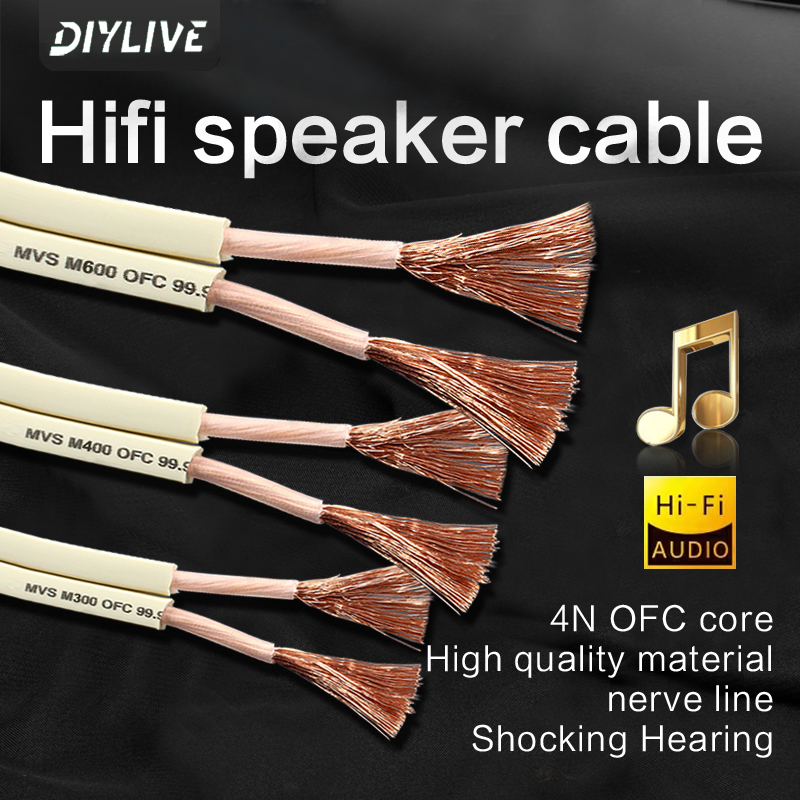DIYLIVE HiFi Speaker Line for  - Home Cinema Couch incelemesi ve fiyatı
